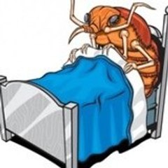 HowToKillBedbugs