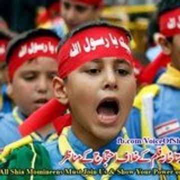 shia_power