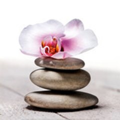 orchidedesign