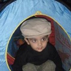 سید رافع جمیل کرمانی