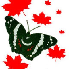 Babar Lodhi