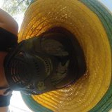 Tag Para