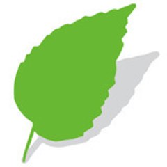 Life Medical Spa