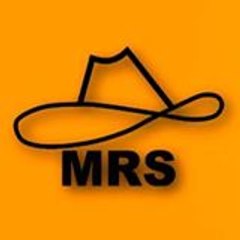 Mohammad Rana Saleem