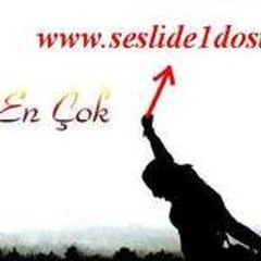 seslide1dostcom