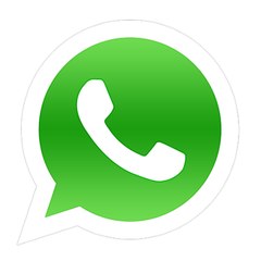 Whatsapp videos