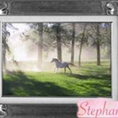 Stephanie Teece