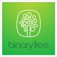 Binary Tree IT Solution