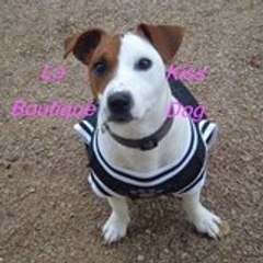 LaBoutiqueKissDog