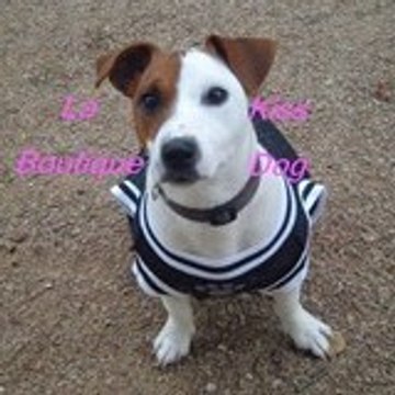 LaBoutiqueKissDog
