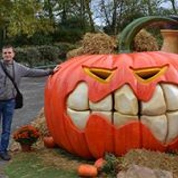 Les Amis De Hits Des Clips