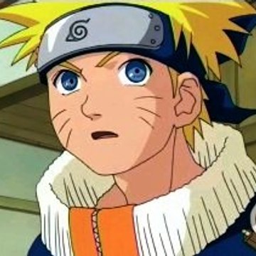 TheNarutoandArnoldGuy