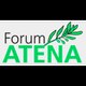 Forum Atena