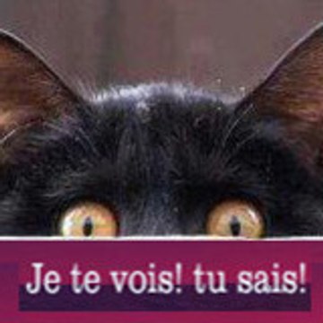 philippe mesnil