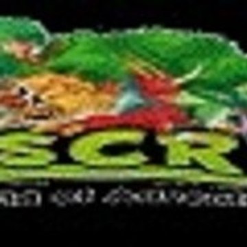 CheatsForMiscrits