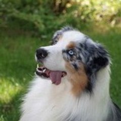Fifi Huttesdugrandmarais