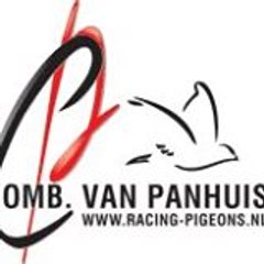 racing-pigeons.nl