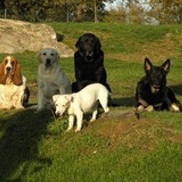 marie claire cholley