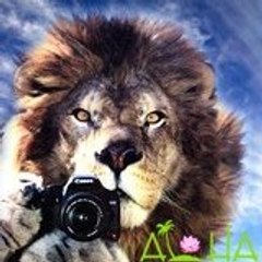 Wedding in Hawaii - Aloha Island Weddings