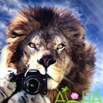 Wedding in Hawaii - Aloha Island Weddings