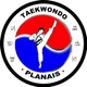 taekwondoplanais