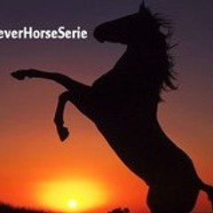 ForeverHorseSerie