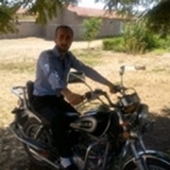 ferman50
