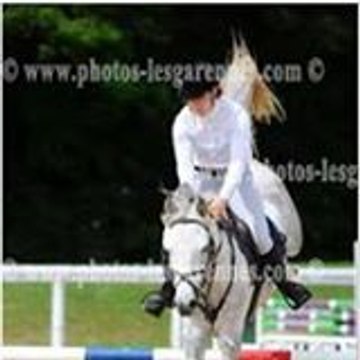 Ecuries Julie le Guern