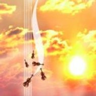 Polyphonia Bourgogne