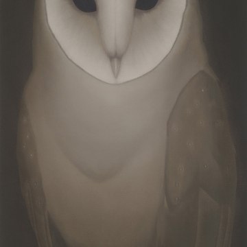 JANUS