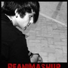 Reanimashup Channel