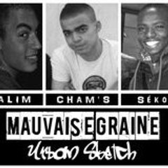 MauvaiseGraineOfficiel