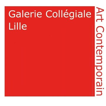 Galerie Collégiale Lille