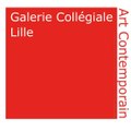 Galerie Collégiale Lille