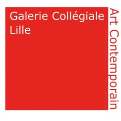 Galerie Collégiale Lille