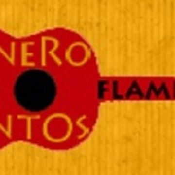 salineroeventosflamencos