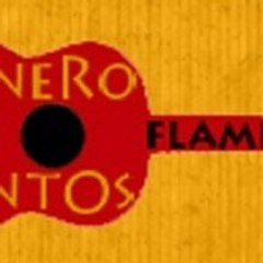 salineroeventosflamencos