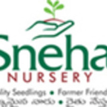 snehanursery Seedlings