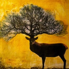 Deertree