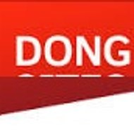 Dong
