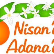 Nisandaadanada