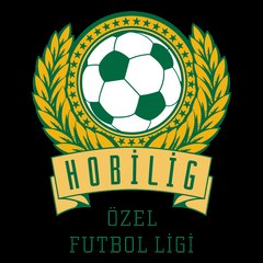 HobiligTV