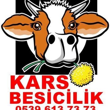 Kars Dana Düve Satışı