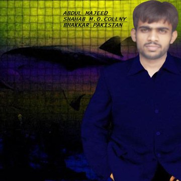 Am Shahab3131