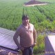 Ali Rafiq