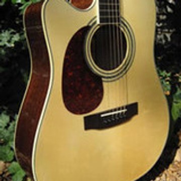zagerguitarsreviews
