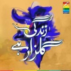 Zindagi Gulzar Hai