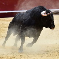 TotalInvestor