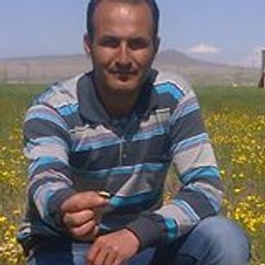 Erdem soylu