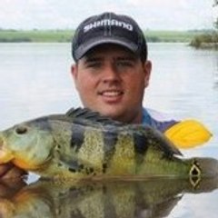 GustavoBackstron
